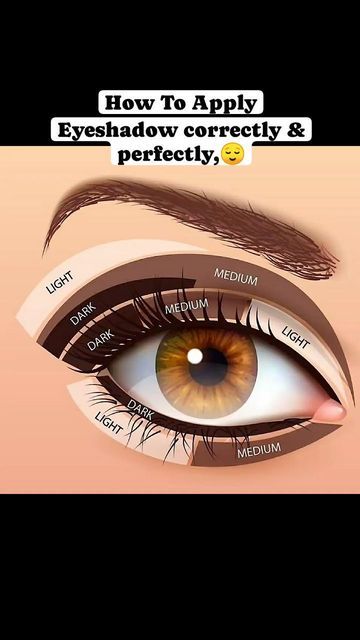 Apply Eyeshadow, Beauty Makeover, Beauty Academy, Going Out Looks, How To Apply Eyeshadow, Health And Beauty Tips, Beautiful Makeup, Simple Makeup, Beauty Health