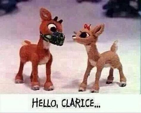 Hello Clarice Rudolph Hello Clarice, Best Holiday Movies, Christmas Memes, Funny Captions, Rudolph The Red, A Silent Voice, Holiday Movie, Red Nosed Reindeer, Holiday Humor