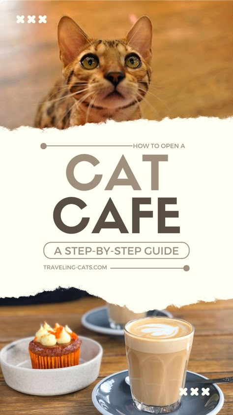 Cat Cafe Business Plan, Cat Cafe Interior Coffee Shop, Cat Business Ideas, Cat Cafe Ideas, Cat Cafe Interior, Cat Cafe Aesthetic, Cat Coffee Shop, Cat Cafes, Pet Store Design