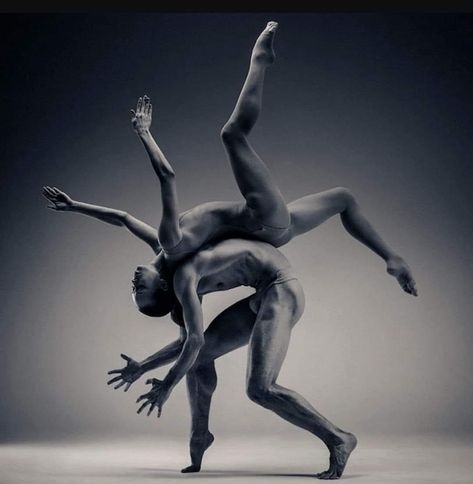 Extreme Poses, Modern Dans, Dance Movement, Animal Illustrations, Ballet Photography, Best Dance, Dance Photos, Foto Art, Dance Life