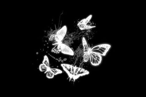 Black And White Medium Widget, Black Butterfly Icon, Black Butterfly Aesthetic, Butterfly Desktop Wallpaper, Picture Overlay, Bio Aesthetic, Dark Skin Tattoo, Butterfly Video, Butterfly Black And White