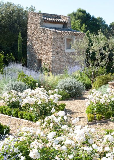 12 European Country Side and Provencal Gardens Landscape Lavender, Olive Trees Landscape, Garden Lavender, Provence Garden, Mediterranean Landscape, Minimalist Garden, Mediterranean Landscaping, Gravel Garden, Lavender Garden