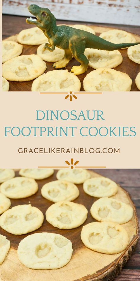 sugar cookies with dinosaur footprints embedded into them, looks just like dinosaur fossils Fossil Cookies, Dinosaur Snacks, Dinosaur Birthday Theme, Refrigerated Cookie Dough, Dinosaur Birthday Party Decorations, Simple Birthday Party, Dinosaur Cookies, Dinosaur Fossil, Dinosaur Footprint