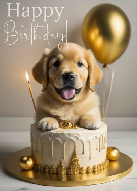 Dog Birthday Wishes, Happy Birthday Animals, Happy Birthday Wishes Pics, Birthday Wishes Pics, Funny Happy Birthday Wishes, Happy Birthday Dog, Birthday Wishes Greetings, Birthday Wishes Flowers, Birthday Greetings Friend