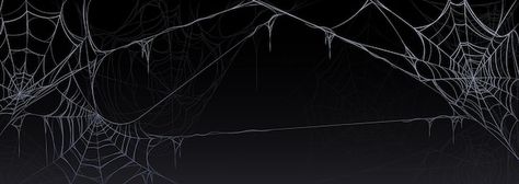 Reddit Cover Photo, Spooky Banner Discord, Spooky Banner Twitter, Goth Banner Aesthetic, Spider Banner Discord, Discord Halloween Banner, 2048 X 1152 Banner Youtube, Halloween Banner Aesthetic, Creepy Discord Banner