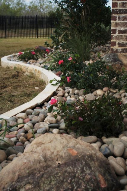 Landscaping In Front Of House, Sunshine Ligustrum, Yucca Rostrata, New Garden Ideas, Yard Garden Design, Front Yard Garden Design, Easy Landscaping, Flower Bed Ideas, House Landscaping