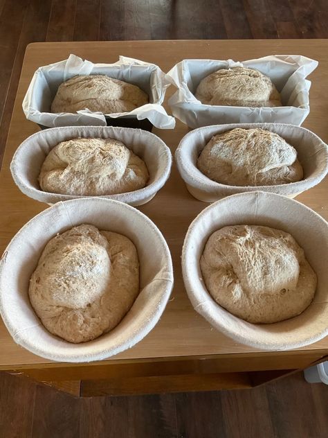 Large Batch Spelt Sourdough Bread - St. Joseph Homestead Spelt Sourdough Bread, Spelt Sourdough, Japanese Bread, Best Oven, Baking Stone, Sourdough Recipes, Vegan Recipe, Sourdough Starter, Bread Flour