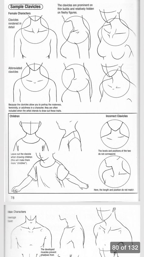 Drawing the collarbone Anime Body, Human Anatomy Drawing, Manga Drawing Tutorials, Human Figure Drawing, Draw Anime, Body Reference Drawing, Art Manga, Anatomy Drawing, Figure Drawing Reference