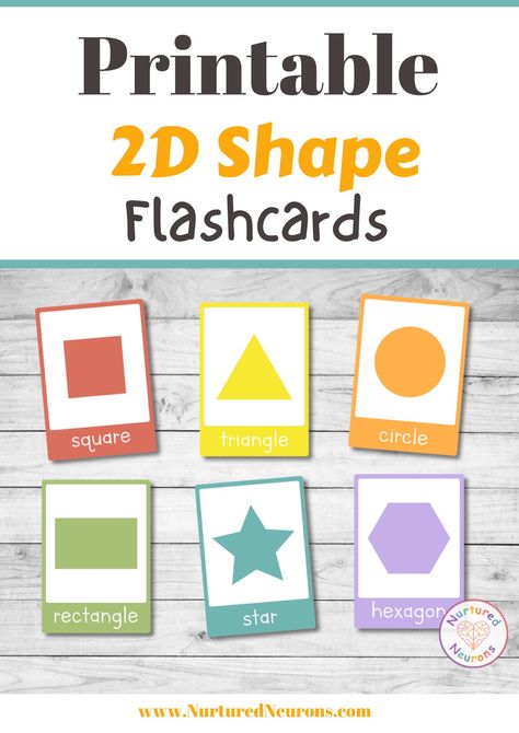 Want to help your teach shapes to your children? Then why not print off these colorful printable 2D shape flashcards? These printable 2D shapes cards are great for preschool and kindergarten as there's 18 of the most common 2D shapes. So grab them today over at Nurtured Neurons! #shapes #learningshapes #shapeflashcards #freeflashcards #printableflashcards #preschoolprintables Shape Flash Cards, Flashcards For Kindergarten, Shape Activities Preschool, Shapes Flashcards, Teaching Shapes, Printable Shapes, Shapes Preschool, Flashcards For Kids, Learning Shapes