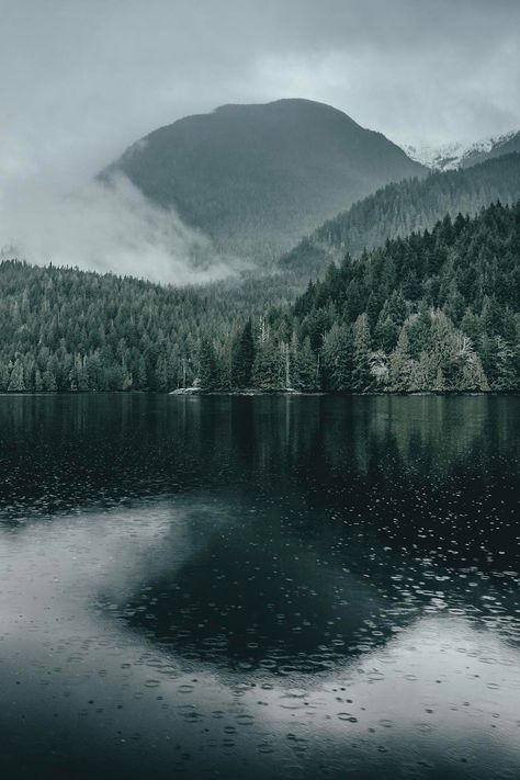 Dark Naturalism, Nature Aesthetic, Pretty Places, Green Aesthetic, Scenery Wallpaper, Nature Wallpaper, Nature Pictures, Dark Aesthetic, Pretty Pictures