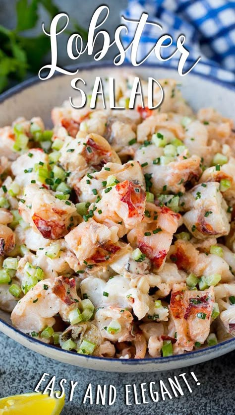 Seafood Salad Pasta, Lobster Pasta, Sea Food Salad Recipes, Seafood Risotto, Lobster Dishes, Lobster Salad, Fresh Lobster, Meat Salad, Creamy Dressing