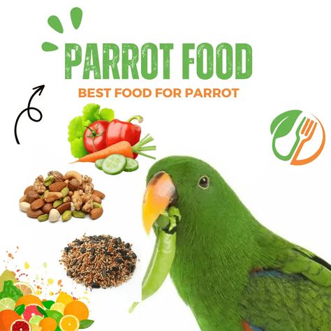 Edamame Snack, Parrot Diet, Parrot Food, Food Pyramid, Food And Nutrition, Bird Toys, Edamame, Colorful Birds, Diet Food