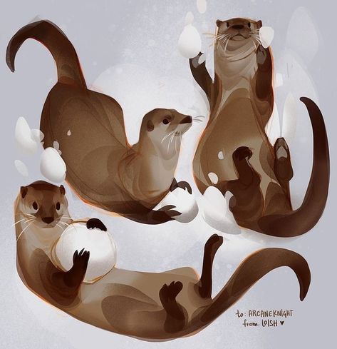 loish (@loisvb) • Instagram photos and videos Cute Otters Drawing, Otter Drawing, Otter Illustration, Otter Art, Animal Portraits Art, Inspirational Artwork, Discord Server, Illustration Artists, An Animal