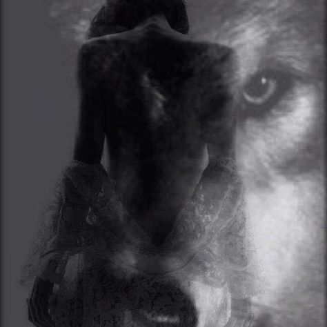 'What Words Cannot Say' JESSIE' Mp3 by JESSIE' on SoundCloud Lup Singuratic, Werewolf Aesthetic, Wolves And Women, Il Re Leone, Wolf Stuff, Alpha Wolf, Werewolf Art, Wolf Love, She Wolf