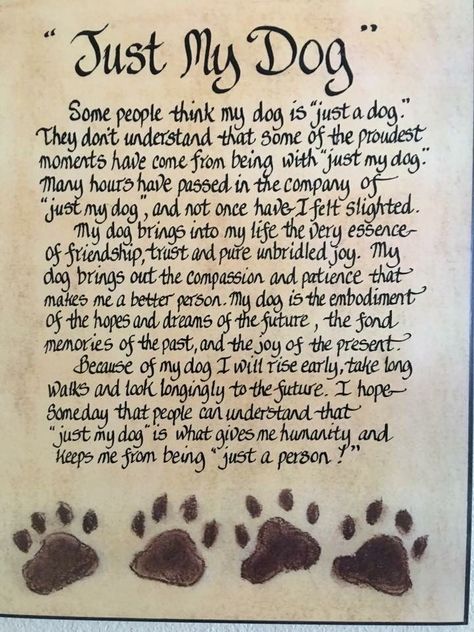 Waiting At The Door Dog Poem, Poems For Dogs Who Have Passed, Dog Heaven Quotes, Pet Poems, Miss My Dog, Pet Quotes, Dog Poems, Dog Lover Quotes, Dog Quotes Love