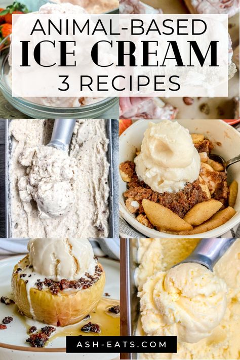 Looking for a recipe for animal-based ice cream? I have 3 recipes for animal-based ice cream...vanilla, mango, and strawberry. These recipes for animal-based ice cream are sweetened with fruit and/or honey or maple syrup, and are made using raw dairy. If you've been following an animal-based diet and are craving ice cream, consider these recipes for animal-based ice cream. I also included a recipe for animal-based ice cream bars as well as others that use animal-based ice cream. #animalbased Prometabolic Eating, Animal Diet, Mango And Strawberry, Lion Diet, Raw Dairy, Craving Ice Cream, Ice Cream Vanilla, Weston Price, Natural Ice Cream