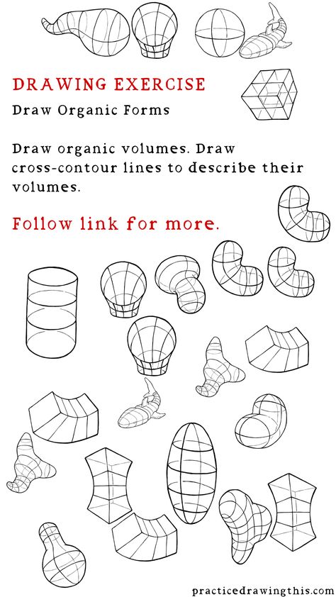 Drawing Exercises - Draw organic volumes. Draw cross-contour lines to describe their volumes. Perspective Exercises, Art Exercises, Geometric Shapes Drawing, Shapes Drawing, Beautiful Pencil Drawings, Basic Sketching, Art Fundamentals, Drawing Basics, Structural Drawing