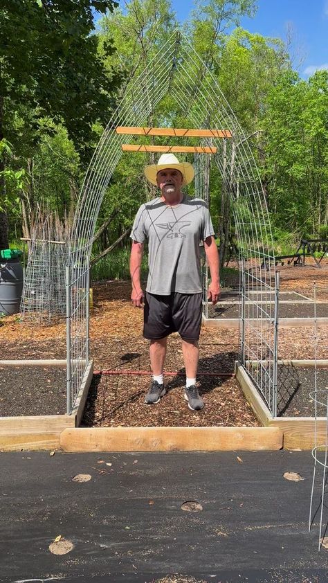 Cattle Panel Trellis #gardentips #tips #gardening #farmlife #backyardfarming #homestead #farmtotable | PawPaw Ridge Homestead | Wire Garden Trellis, Garden Box With Trellis, Cattle Fence Trellis, Cow Panel Garden Trellis, Cattle Panel Trellis Arches, Raised Garden Bed Trellis, Garden Trellis Ideas Diy, Cattle Panel Arch, Deer Proof Garden