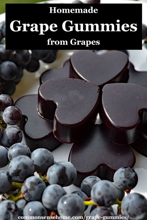 These homemade grape gummies are a fun way to enjoy the grape harvest. You can start with fresh grapes or store bought grape juice. We'll take you through the process step by step. Grape Juice Recipe, Homemade Fruit Snacks, Homemade Gummies, Gummies Recipe, Fruit Press, Grape Harvest, Grape Recipes, Grape Harvesting, Grape Juice