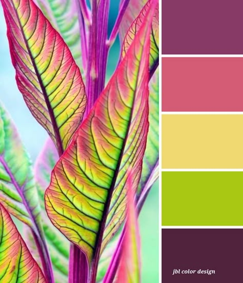 Pineapple Color Palette, Tropical Colour Palette, Jungle Color Palette, 3 Color Combos, Color Pencil Ideas, Bracelet Color Ideas, Tropical Color Palette, Green Color Palettes, Analogous Colors