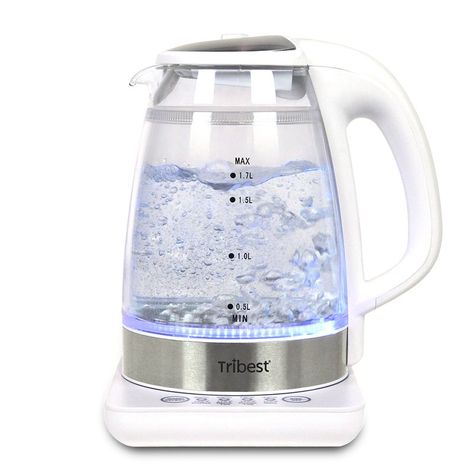 Tribest 1.7 Qt. Raw Brewing Glass Electric Tea Kettle | Wayfair Electric Tea Kettle, Organizing Hacks, Double Wall Glass, Water Kettle, Pour Over Coffee, Loose Tea, Tea Kettle, Electric Kettle, Small Appliances