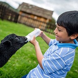 11 Books About Caring For Animals Taking Care Of Animals, Caring For Animals, Showing Kindness, Wonderful Picture, Picture Books, Animal Lovers, Pet Care, Picture Book, Childrens Books