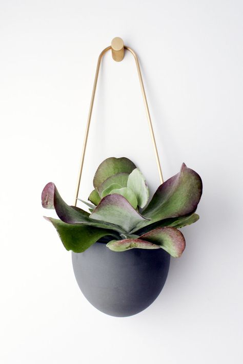 Hanging Plant Stand, Holistic Design, Wall Hanging Plant, Interior Design Plants, Hanging Wall Planters, Brass Wall Hook, Wall Planters, Porcelain Planter, Brass Planter