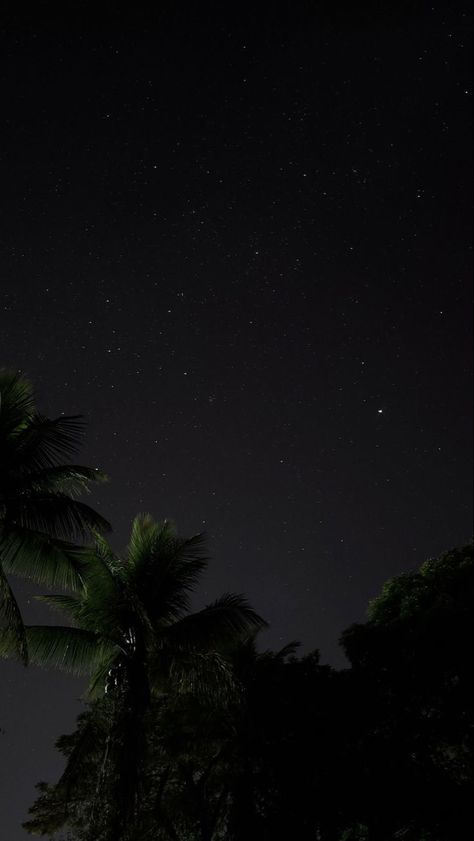 Full Moon Night Sky Photography, Sky With Stars Aesthetic, Dark Sky Photos, Stars Story Instagram, Night Sky Aesthetic Stars And Moon, Stars In The Sky Aesthetic, Sky At Night Aesthetic, Sky Full Of Stars Aesthetic, Star Sky Aesthetic