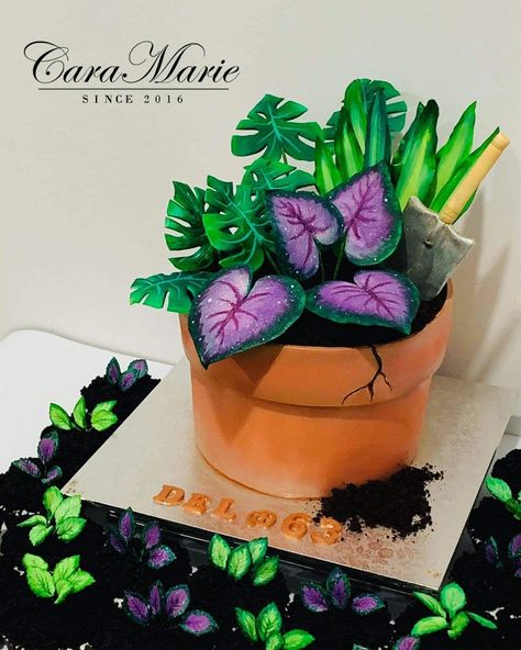 Plant pot cake with edible soil and edible fondant plants Plant Pot Cake, Cake Plant Design, Plants Cake Design, Cake Plants Design, Plant Birthday Cakes, Plant Cake Ideas, Plant Themed Cake, Plant Cakes Ideas, Plant Cakes