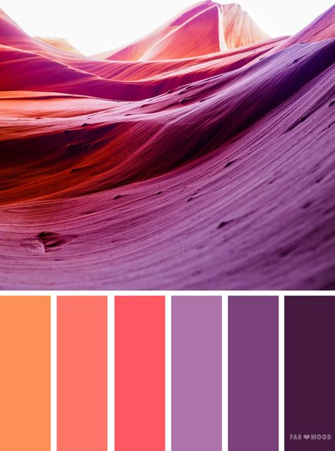 Orange and purple color scheme,orange peach and purple color scheme ,color scheme ,color palette - Looking for color inspiration? At fab mood you will find 1000s of beautiful color palette, color palette inspired by nature,landscape ,food ,season Color Scheme Orange, Purple Color Schemes, Purple Succulents, Purple Color Palettes, Color Schemes Colour Palettes, Color Palate, Design Seeds, Color Palette Design, Color Balance