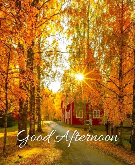 Have A Beautiful Evening, Afternoon Blessings, Country Photos, Afternoon Nap, Halloween Quotes, Beautiful Evening, Good Afternoon, Fall Thanksgiving, Fall Halloween