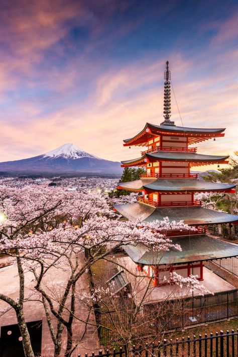 The Best Spots to See Cherry Blossoms Around Nagoya - GaijinPot Travel Chureito Pagoda, Day Trips From Tokyo, Monte Fuji, Blossom Season, Japan Itinerary, Mont Fuji, Osaka Castle, Cherry Blossom Season, Kanazawa