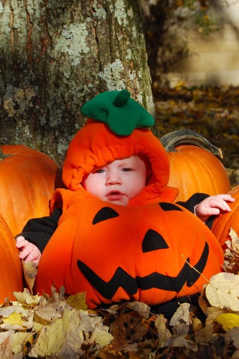 Baby Pumpkin Pictures, Infant Costumes, Halloween Baby Pictures, Baby Pumpkin Costume, Halloween Jigsaw Puzzles, Newborn Halloween Costumes, Perfect Halloween Party, Baby Pumpkin, Newborn Halloween