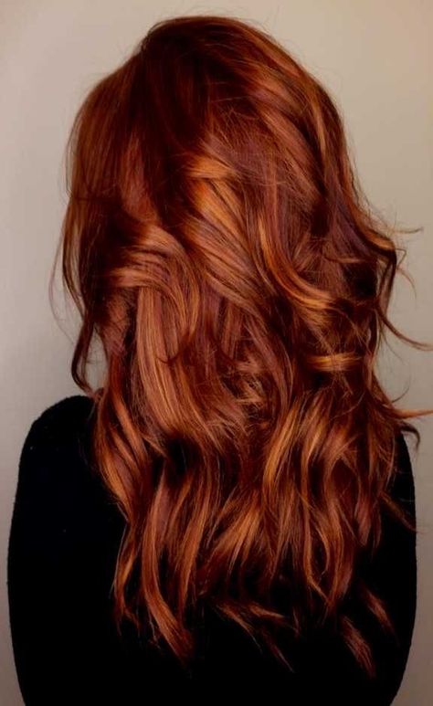 2023 Fall Red Hair, Dark Red Copper Highlights, Brown And Copper Hair Color, Copper Balayage Brunette Medium, Red Hair Color Over Brown, Red Hair With Auburn Highlights, Short Curly Haircuts Red Hair, Rhubarb Red Hair, Fall 2023 Hair Color Trends Red