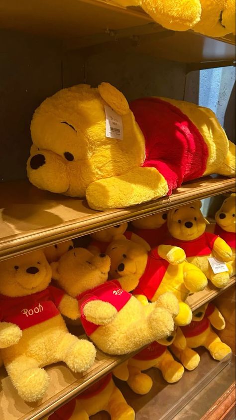 Winnie The Pooh Plushies, Winnie The Pooh Stuff, Winnie The Pooh Stuffed Animal, Disney Plushies, Aesthetic Stationary, Disney Room Decor, Disney Stuffed Animals, Winnie The Pooh Pictures, Winnie The Pooh Plush