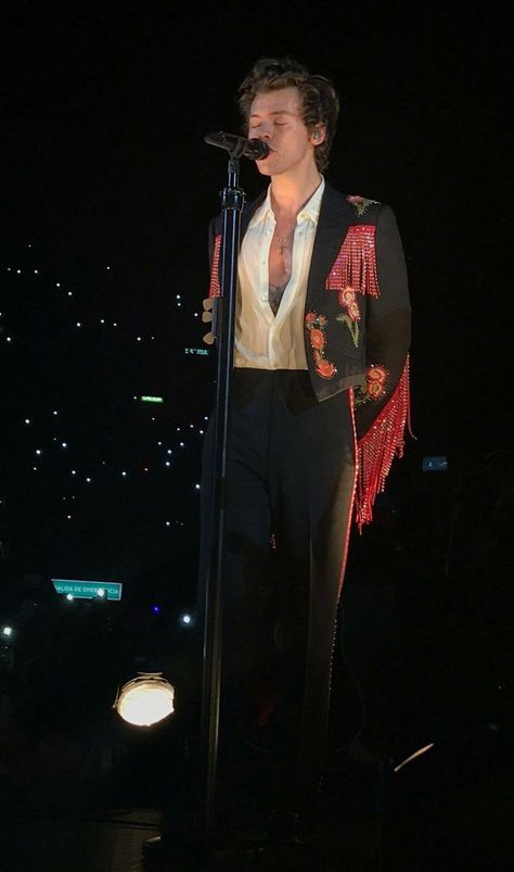 Harry Styles Suit, Harry Styles Outfits Concert, Harry Styles Suits, Harry Outfits, Love On Tour Outfits, Harry Styles Outfit, Live On Tour, Harry Styles Live On Tour, Harry Styles Tour