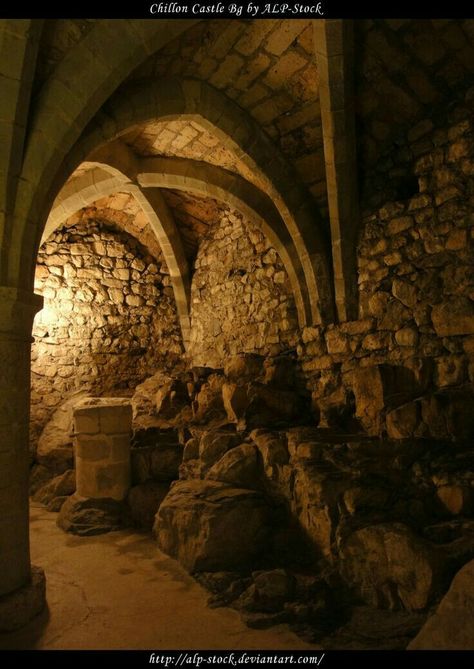 Underground Castle, Medieval Dungeon, Castle Switzerland, Castle Dungeon, Chillon Castle, Secret Tunnel, Chateau Medieval, Castles Interior, Medieval World