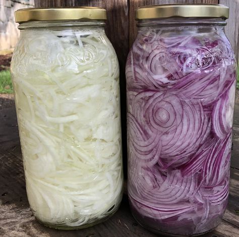 Fermented Onions for Troubleshooting Tricky Cultures… – Brenna May Fermented Onions, Fermented Vegetables Recipes, Fermenting Weights, Fermented Veggies, Fermentation Recipes, Fermented Vegetables, Probiotic Foods, Pickled Veggies, Healthy Bacteria