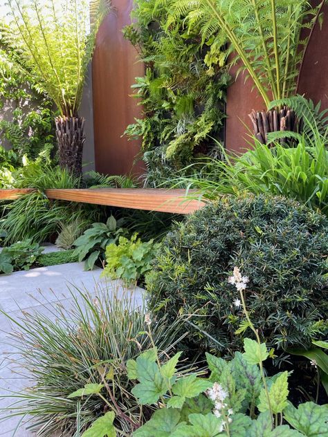 Wandsworth Town, London - Tom Howard Gardens Natural Kitchens, Cotswold Garden, Garden Escape, Tattoo Plant, Ferns Garden, Tropical Garden Design, Small Courtyard Gardens, Courtyard Gardens Design, Back Garden Design