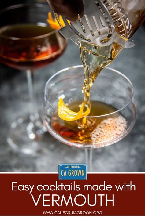 The best drinks with vermouth are actually classic cocktails that you probably are already familiar with. Do you love a Dirty Vodka Martini or a Negroni? Both of those drinks with vermouth grace almost every cocktail menu we’ve ever perused, but there are so many more you might be missing! #cocktails #vermouth #cagrown @thismessisours #mixeddrinks Drinks With Vermouth, Dry Vermouth Cocktails, Vermouth Drinks, Sweet Vermouth Cocktails, Vermouth Cocktails, Holiday Fruit Cake, Cocktails For Beginners, Vodka Mixed Drinks, Vermouth Cocktail