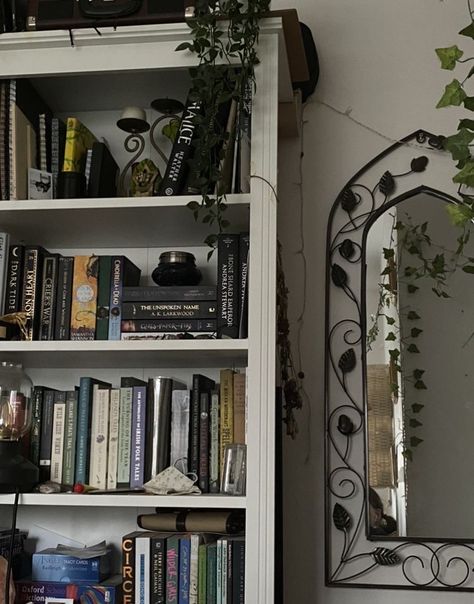 Regulus Black Aesthetic, Aesthetic Marauders, Bookshelf Aesthetic, Regulus Black, Pretty Room, Dreamy Room, Marauders Era, Dream Room Inspiration, Room Makeover Bedroom