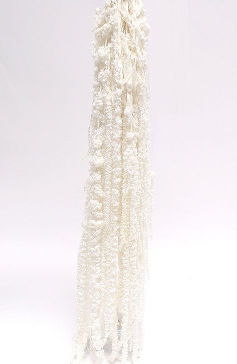 Hanging Amaranthus, White Floral Arrangements, Grass Decor, Pampas Grass Decor, Diy Arrangements, Floral Arrangements Diy, Rustic Theme, Mexican Wedding, Beautiful Flower Arrangements