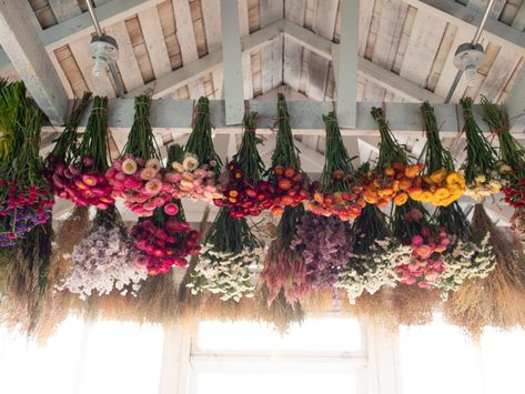 Flower Store Aesthetic, 1950s Farmhouse, Dried Flower Projects, Floret Flowers, Flower Garden Inspiration, Roadside Stand, Drying Flowers, Dried Wreath, Giving Flowers