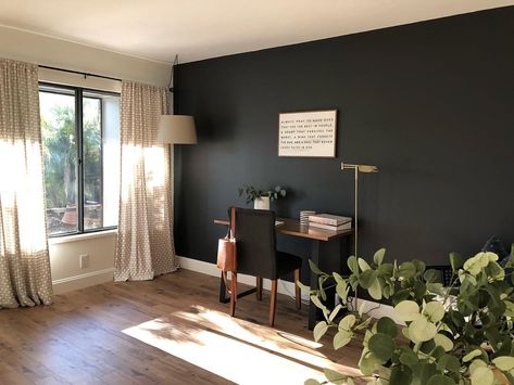 Dark wall: cracked pepper by behr Wrought Iron Benjamin Moore, Orange Flooring, Apartment Updates, Basement Update, Media Room Paint Colors, Benjamin Moore Wrought Iron, Wrought Iron Paint, Paint Palettes, Black Rooms