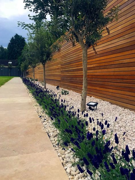 Front Garden Ideas Driveway, Garden Ideas Driveway, Trellis Fence, Back Garden Design, London Garden, Patio Garden Design, Modern Garden Design, Fence Landscaping, Have Inspiration