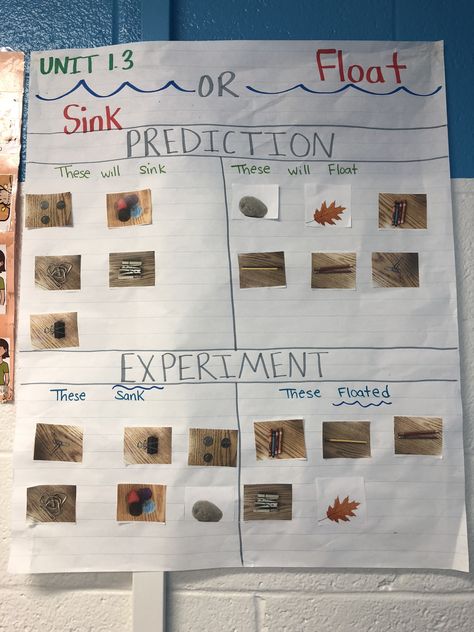 Sink or float anchor chart  PreK Preschool Sink Or Float Activities, Observation Lesson Ideas Teachers, Fall Sink Or Float Preschool, Sink Or Float Experiment Preschool, Sink Or Float Kindergarten, Gravity Preschool Activities, Sink Or Float Anchor Chart, Floating And Sinking Activities Eyfs, Sink Or Float Science Fair Project