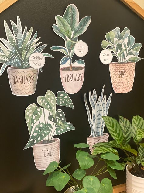 Plant Themed Classroom, Boho Themed Classroom, Boho Classroom Theme, Forest Theme Classroom, Birthday Display In Classroom, Plants Classroom, Boho Plants, Birthday Board Classroom, Themed Classroom Decor