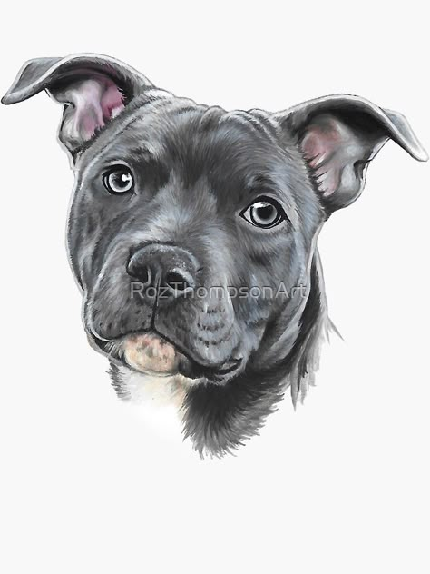 "Blue staffy" Sticker by RozThompsonArt | Redbubble Staffordshire Terrier Drawing, Staffy Dog Illustration, Staffy Dog Tattoo, Staffordshire Bull Terrier Drawing, Gimli Art, Staffy Tattoos, Pitbull Sketch, Pitbull Noir, Pit Bull Tattoo