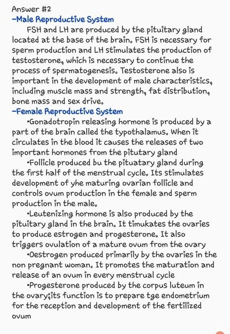 The Reproductive System Notes, Female Reproductive System Anatomy Notes, Human Reproductive System Notes, Male Reproductive System Notes, Reproductive Health Notes, Female Reproductive System Notes, Reproductive System Notes, Med Journal, Male And Female Reproductive System