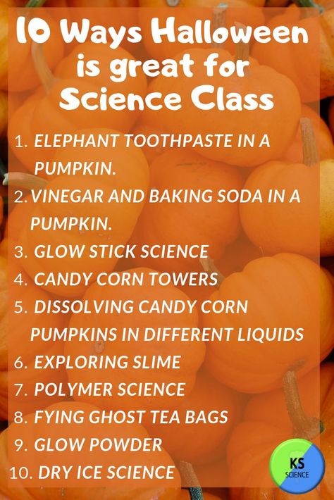 October After School Activities, Fall Crafts For High School Students, October Science Experiments For Kids, Halloween Classroom Experiments, Halloween Middle School, Homeschool Halloween Ideas, Mad Scientist Crafts For Kids, Fall Activities For Middle Schoolers, Halloween Middle School Activities